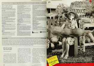Better Homes & Gardens November 2000 Magazine Article: Page 262