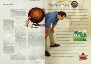Better Homes & Gardens November 2000 Magazine Article: Page 266