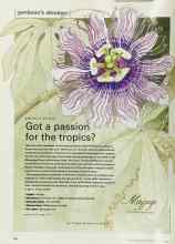 Better Homes & Gardens December 2000 Magazine Article: Got a passion for the tropics?