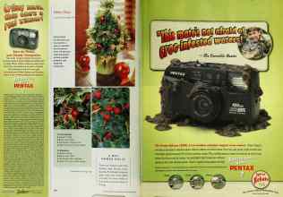 Better Homes & Gardens December 2000 Magazine Article: Page 130
