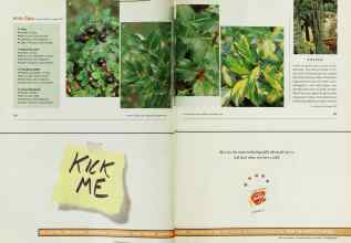 Better Homes & Gardens December 2000 Magazine Article: Page 132