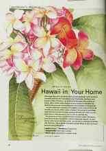 Better Homes & Gardens January 2001 Magazine Article: Hawaii in Your Home