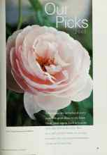 Better Homes & Gardens January 2001 Magazine Article: Our Picks 2001