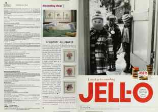 Better Homes & Gardens January 2001 Magazine Article: Page 34