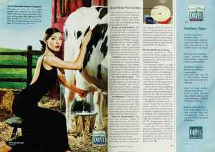 Better Homes & Gardens January 2001 Magazine Article: Page 50