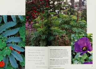 Better Homes & Gardens January 2001 Magazine Article: Page 60