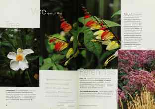 Better Homes & Gardens January 2001 Magazine Article: Page 64