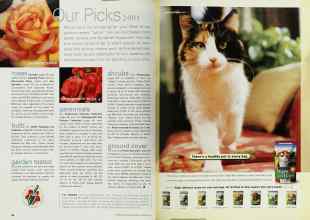 Better Homes & Gardens January 2001 Magazine Article: Page 68