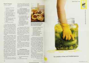 Better Homes & Gardens January 2001 Magazine Article: Page 110