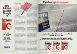 Better Homes & Gardens January 2001 Magazine Article: Page 132