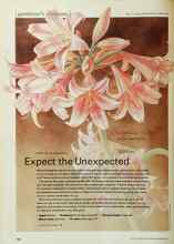 Better Homes & Gardens February 2001 Magazine Article: Expect the Unexpected