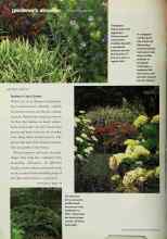 Better Homes & Gardens February 2001 Magazine Article: Rustlers in Your Garden