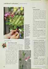Better Homes & Gardens February 2001 Magazine Article: Show Climbers the Way