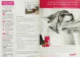 Better Homes & Gardens February 2001 Magazine Article: Page 4