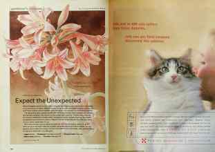 Better Homes & Gardens February 2001 Magazine Article: Page 104