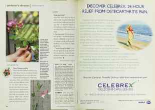 Better Homes & Gardens February 2001 Magazine Article: Page 110