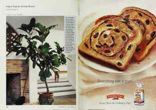 Better Homes & Gardens February 2001 Magazine Article: Page 114