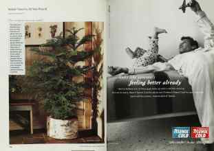 Better Homes & Gardens February 2001 Magazine Article: Page 116