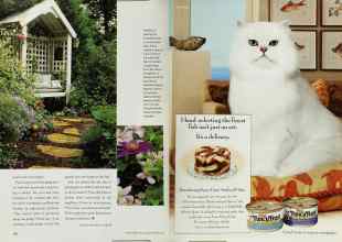 Better Homes & Gardens February 2001 Magazine Article: Page 132