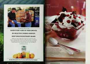 Better Homes & Gardens February 2001 Magazine Article: Page 174