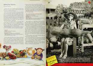 Better Homes & Gardens February 2001 Magazine Article: Page 210