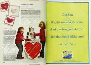 Better Homes & Gardens February 2001 Magazine Article: Page 224