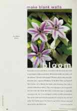 Better Homes & Gardens March 2001 Magazine Article: Make blank walls bloom