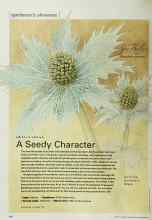 Better Homes & Gardens March 2001 Magazine Article: A Seedy Character