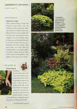 Better Homes & Gardens March 2001 Magazine Article: Smart gardening