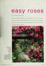 Better Homes & Gardens March 2001 Magazine Article: Top 10 easy roses