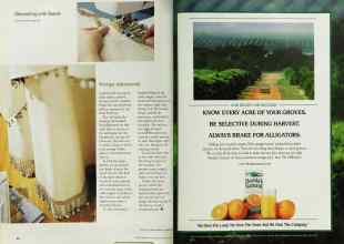 Better Homes & Gardens March 2001 Magazine Article: Page 54