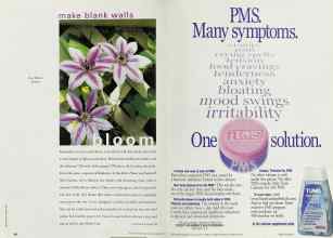 Better Homes & Gardens March 2001 Magazine Article: Page 102