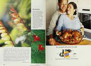 Better Homes & Gardens March 2001 Magazine Article: Page 104