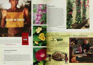 Better Homes & Gardens March 2001 Magazine Article: Page 106