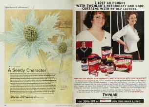 Better Homes & Gardens March 2001 Magazine Article: Page 114