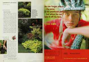 Better Homes & Gardens March 2001 Magazine Article: Page 116