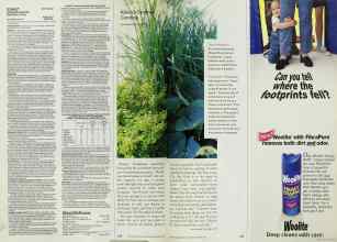 Better Homes & Gardens March 2001 Magazine Article: Page 120