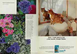 Better Homes & Gardens March 2001 Magazine Article: Page 122