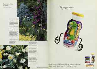 Better Homes & Gardens March 2001 Magazine Article: Page 124