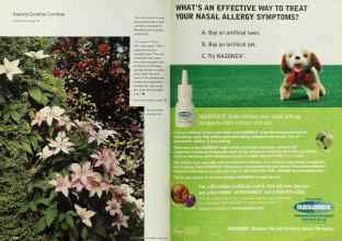 Better Homes & Gardens March 2001 Magazine Article: Page 126