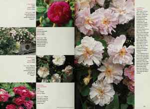 Better Homes & Gardens March 2001 Magazine Article: Page 136