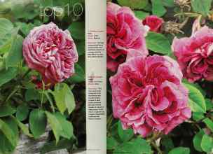 Better Homes & Gardens March 2001 Magazine Article: Page 138