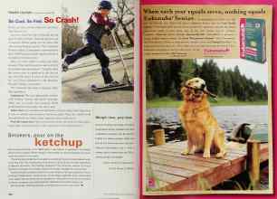 Better Homes & Gardens March 2001 Magazine Article: Page 208