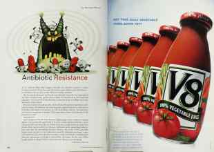 Better Homes & Gardens March 2001 Magazine Article: Page 210