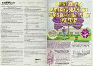 Better Homes & Gardens March 2001 Magazine Article: Page 224