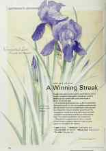 Better Homes & Gardens April 2001 Magazine Article: A Winning Streak