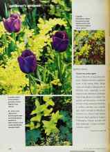 Better Homes & Gardens April 2001 Magazine Article: Perfect pairs