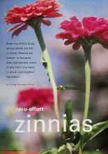 Better Homes & Gardens April 2001 Magazine Article: Zero-effort zinnias