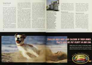 Better Homes & Gardens April 2001 Magazine Article: Page 90