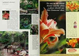 Better Homes & Gardens April 2001 Magazine Article: Page 118